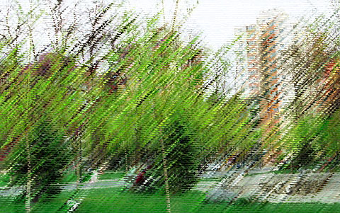 人大校园一角风景